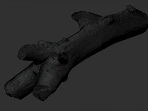 Skan 3D pnia drzewa highpoly Model 3D