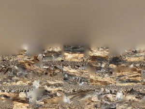 Skan 3D pnia drzewa highpoly Model 3D