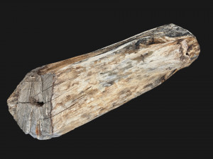 Tree trunk 3d scan highpoly Model 3D