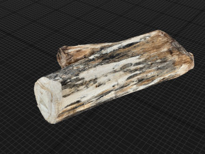 Tree trunk 3d scan highpoly Model 3D