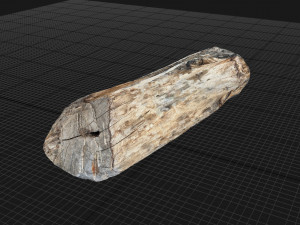 Tree trunk 3d scan highpoly Model 3D