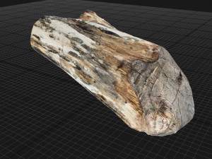 Tree trunk 3d scan highpoly Model 3D