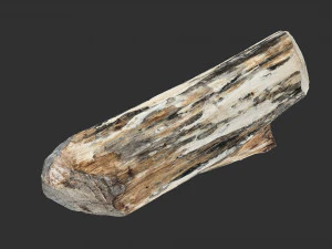 3D сканування стовбура дерева highpoly 3D Модель