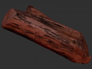 Tree trunk 3d scan highpoly Model 3D