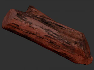 3D сканування стовбура дерева highpoly 3D Модель