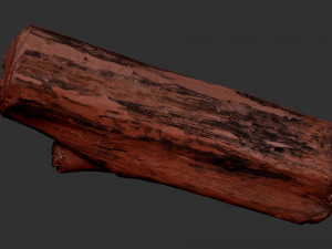 Tree trunk 3d scan highpoly Model 3D