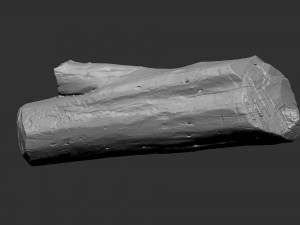 Tree trunk 3d scan highpoly Model 3D