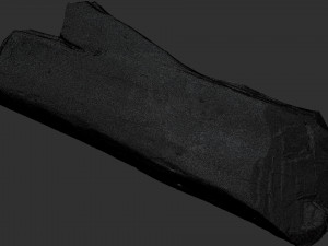 Tree trunk 3d scan highpoly Model 3D