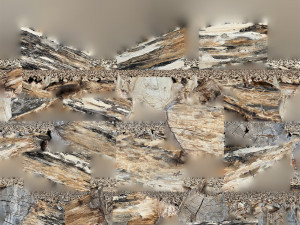 Tree trunk 3d scan highpoly Model 3D