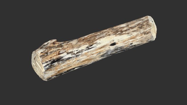 Mottled tree trunk 3d scan highpoly Model 3D .c4d .max .obj .3ds .fbx .stl .blend 