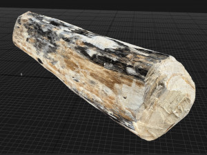 Mottled tree trunk 3d scan highpoly Model 3D