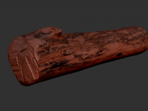 Mottled tree trunk 3d scan highpoly Model 3D