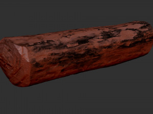 Mottled tree trunk 3d scan highpoly Model 3D