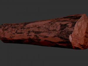 Mottled tree trunk 3d scan highpoly Model 3D