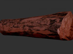 Mottled tree trunk 3d scan highpoly 3D Model