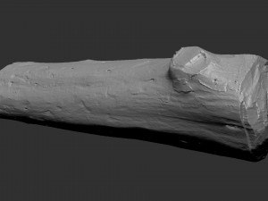 Mottled tree trunk 3d scan highpoly Model 3D