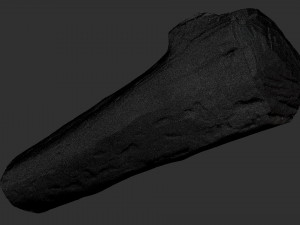 Mottled tree trunk 3d scan highpoly Model 3D