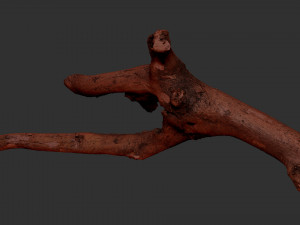 Tree branch 3d scan 3D Model