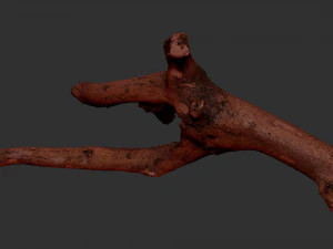 Tree branch 3d scan 3D Model