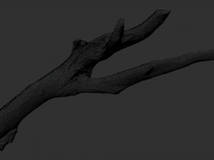 Tree branch 3d scan 3D Model