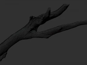 Tree branch 3d scan 3D Model