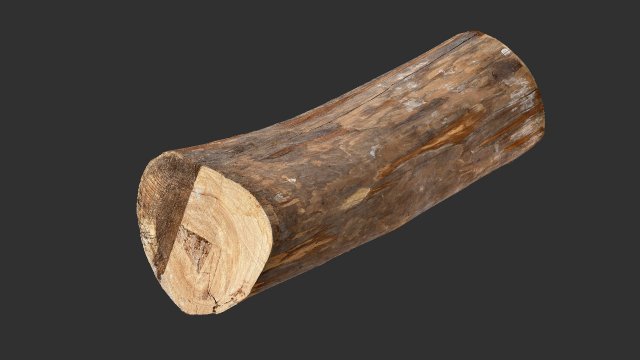 Tree trunk 3d scan highpoly 3D Model .c4d .max .obj .3ds .fbx .stl .blend 