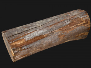 Tree trunk 3d scan highpoly 3D Model