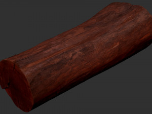Tree trunk 3d scan highpoly 3D Model
