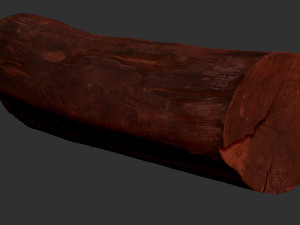 Tree trunk 3d scan highpoly 3D Model