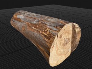 Tree trunk 3d scan highpoly 3D Model