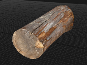 Tree trunk 3d scan highpoly 3D Model