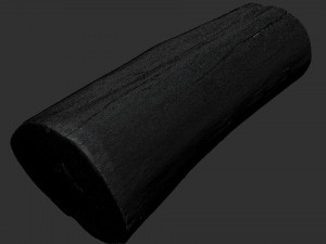 Tree trunk 3d scan highpoly 3D Model