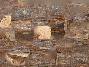 Tree trunk 3d scan highpoly 3D Model