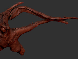 Tree Root 3D Scan in highpoly 3D Model