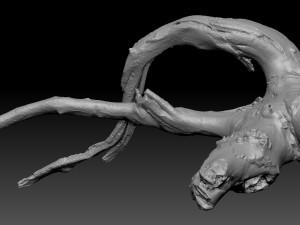 Tree Root 3D Scan in highpoly 3D Model