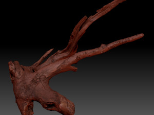 Tree Root 3D Scan in highpoly 3D Model