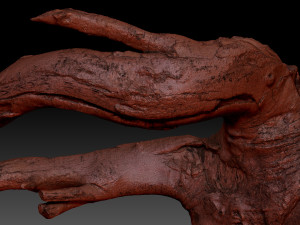 Tree Root 3D Scan in highpoly 3D Model