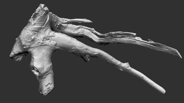 Tree root 3d scan in highpoly 3D Model .c4d .max .obj .3ds .fbx .stl .blend 