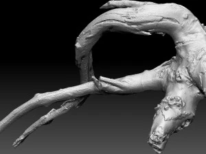 Tree root 3d scan in highpoly 3D Model