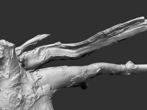 Tree root 3d scan in highpoly 3D Model