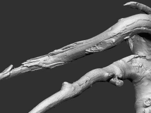 Tree root 3d scan in highpoly 3D Model