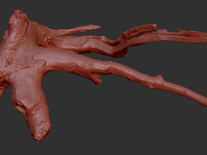 Tree root 3d scan in highpoly 3D Model