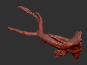 Tree root 3d scan in highpoly 3D Model