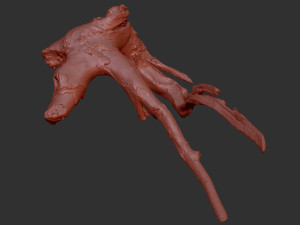 Tree root 3d scan in highpoly 3D Model