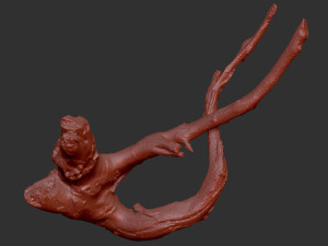 Tree root 3d scan in highpoly 3D Model