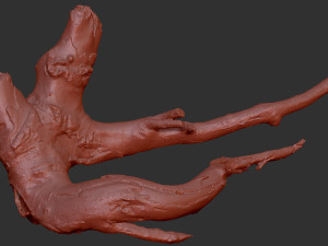 Tree root 3d scan in highpoly 3D Model