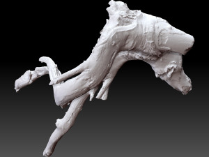 Tree root 3d scan in highpoly 3D Model