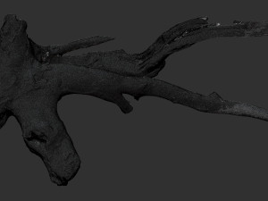 Tree root 3d scan in highpoly 3D Model