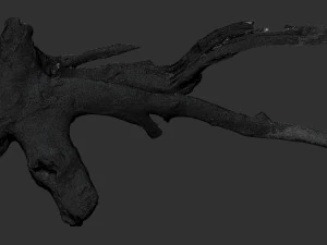 Tree root 3d scan in highpoly 3D Model