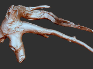 Tree root 3d scan in highpoly 3D Model